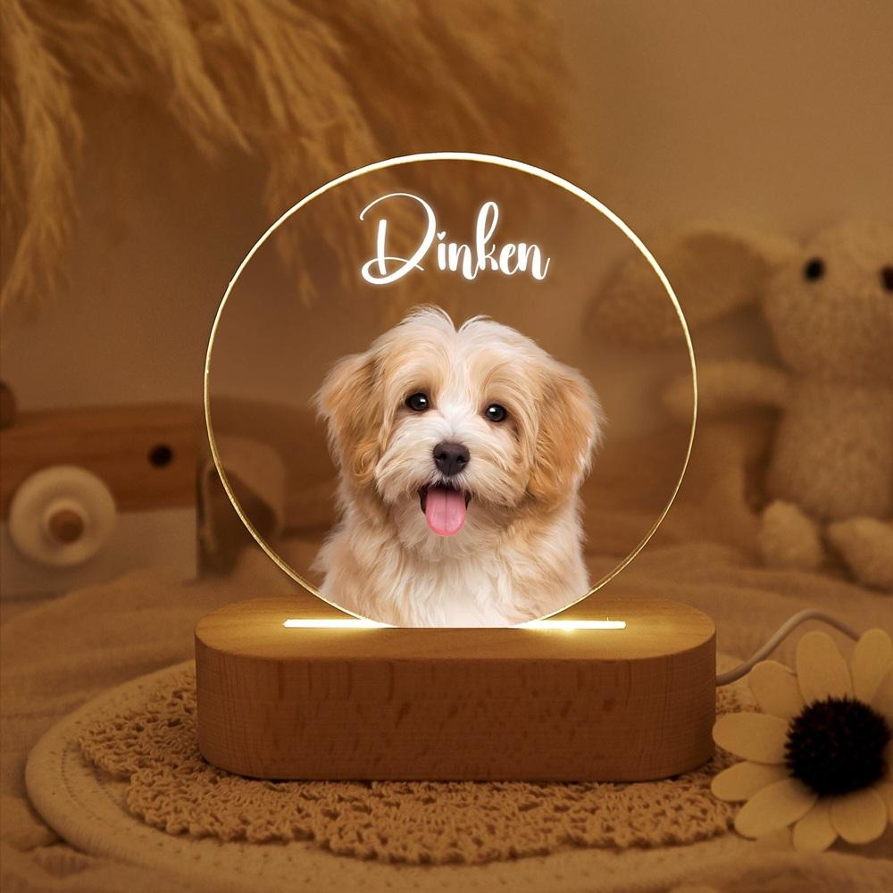 Custom Acrylic Pet Portrait Glow Personalized with Pet Photo Text Luminous Home Decor Pet Unique Memorial Keepsake for Pet Owner