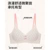 Pastoral Small Floral Display Large Collection of Secondary Breasts Anti-sagging No Steel Ring Sexy Seamless Bra Cover