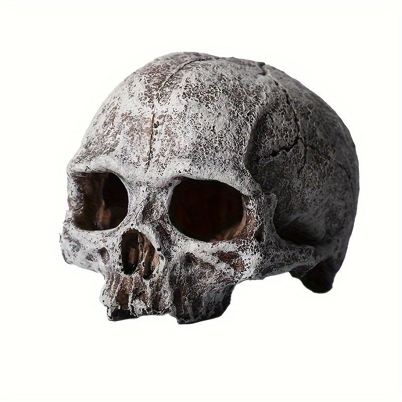 Amphibian Themed Aquarium Decorative Skull, ABS Resin, Reptile House Cave Decoration for Terrariums and Vivariums