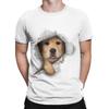 Golden Retriever Dog Graphic 100 Cotton TShirt Gloden Retirever Tees Tops For Unisex