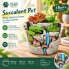 Handmade Cement Succulent Pot Creative Micro Landscape Planter