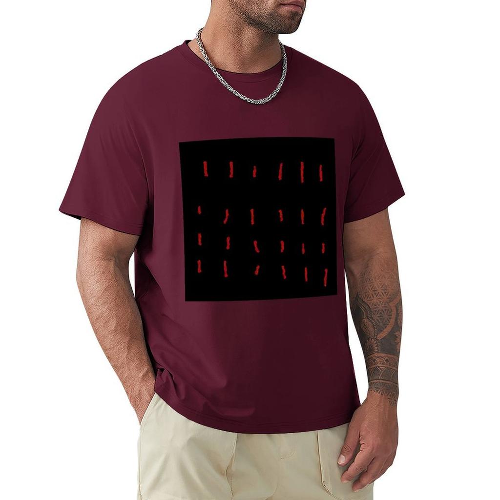 Strokes of Incarceration Album Artwork T-Shirt anime t shirts plus sizes street wear graphic t shirts graphic shirts men