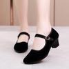 Spring Summer Women's High Heels Shoes Pumps Platform Old Beijing Cloth Shoe Casual Zapatos Buckle Strap Solid Work Footwear