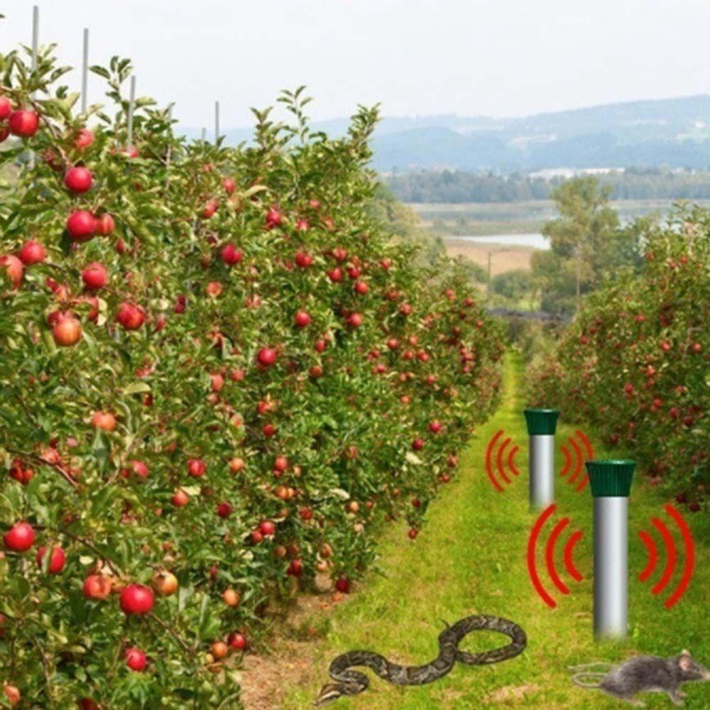 Eco-friendly IP45 Bird Rat Snake Garden Animal Repeller Pest Control Dog Chaser Repellent