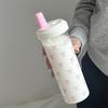 Pink Bow Print Water Bottle with Straw Lid 700ml Cute