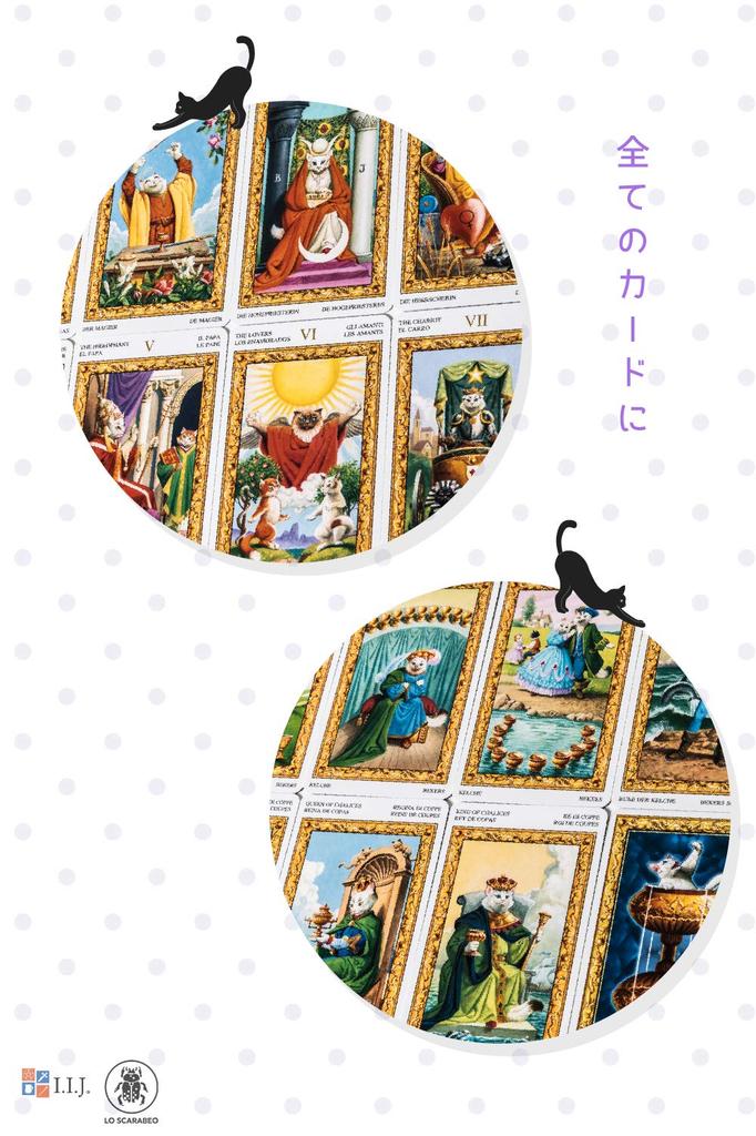 78 Tarot Waite Tarot Fortune Telling Of White with Japanese Instruction Manual Cards, Edition, [Tarot Cats] [Genuine]