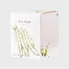 Warm Healthy Tea for Throat Health During the Changing Seasons, Green Bean tea_Water Dream Green Bean Tea