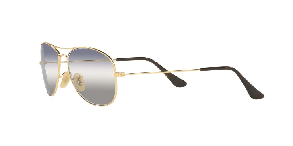ARISTA 56 Sunglasses RB3362 Ray-Ban Men's