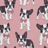 Outdoor Decorative Fabrics Oxford - Motif Bulldog with a Bow Tie I Dx012