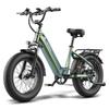 FAFREES F20 ROVER Geländetaugliches Elektrofahrrad mit 48V 15AH Akku