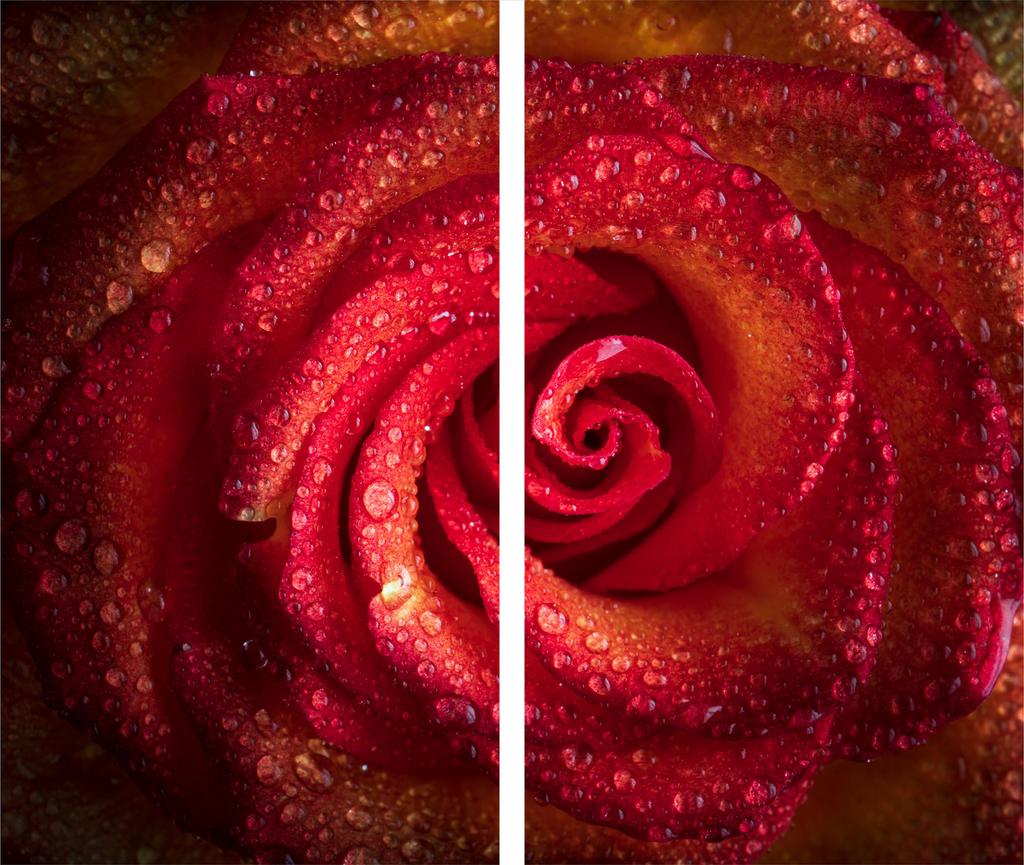 Glass Cutting Board 2X 30X52 Rose