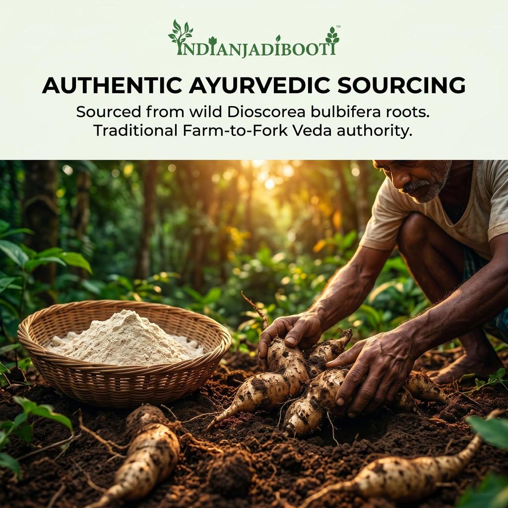 Polvere Bianca di Vidharikand Indiano JadiBooti - Polvere Bianca di Vidarikand - Bidharikand - Dioscorea bulbifera (Confezione da 100 grammi) (100 grammi)