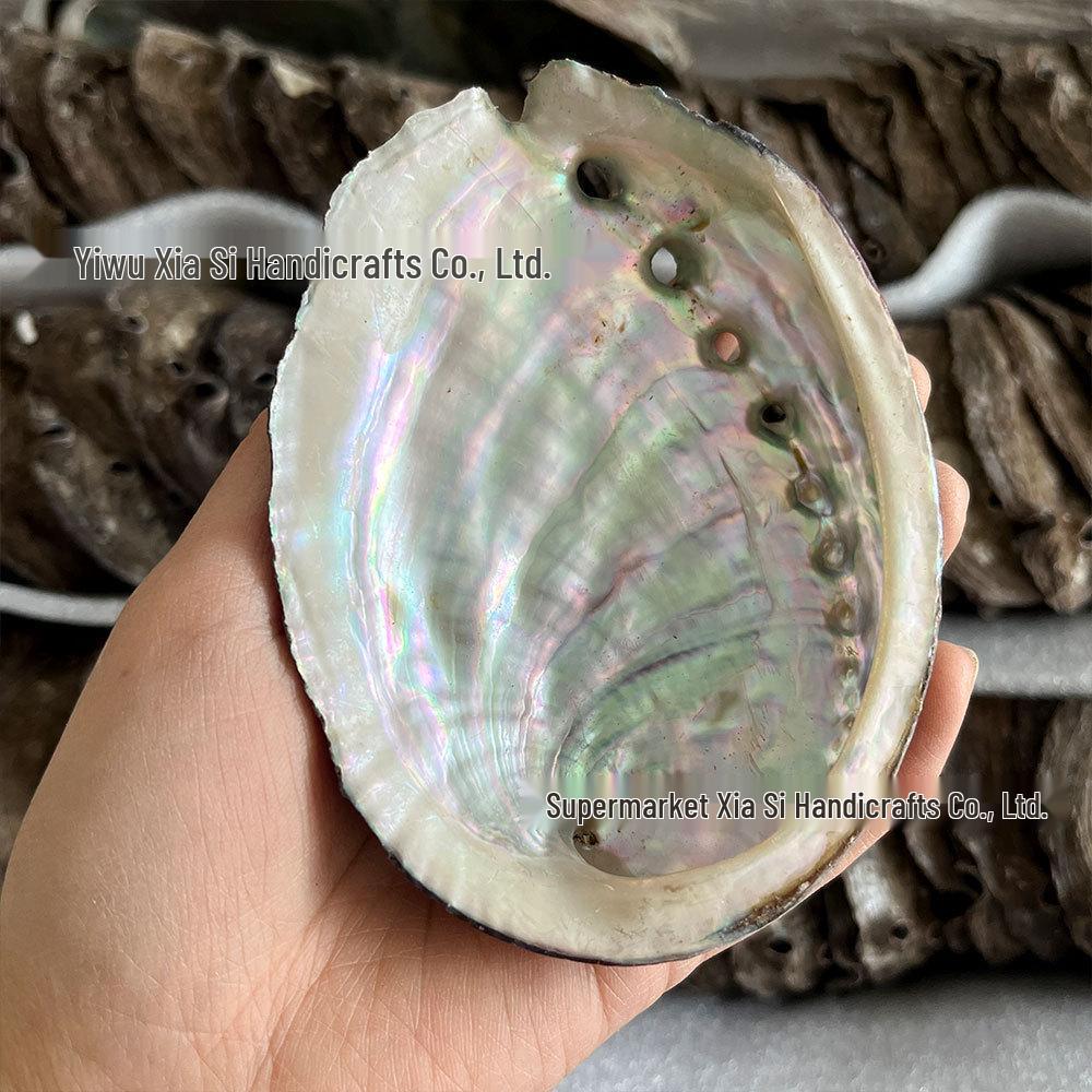 Abalone Shell Sage Incense Burner - Natural Pearl Decorative Piece for Home