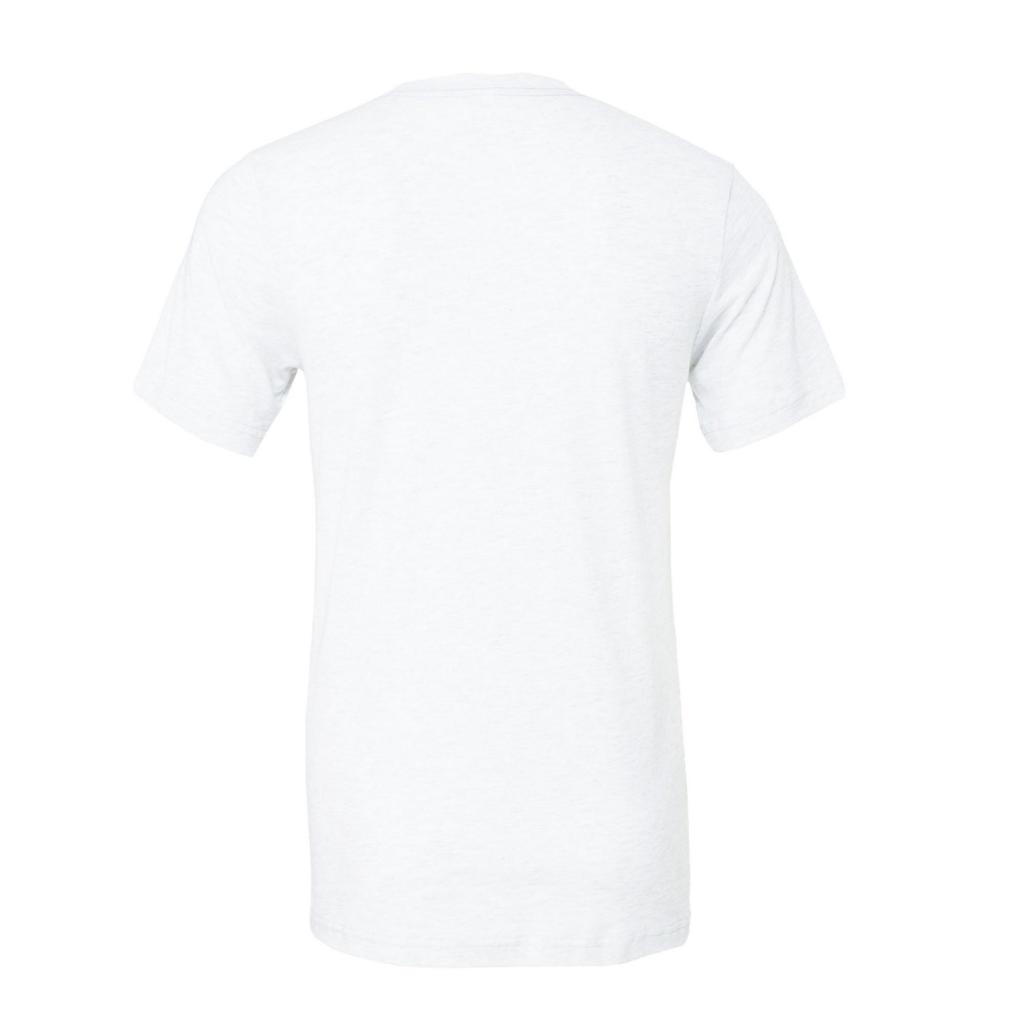 Canvas Triblend Crew Neck T-Shirt / Mens Short Sleeve T-Shirt