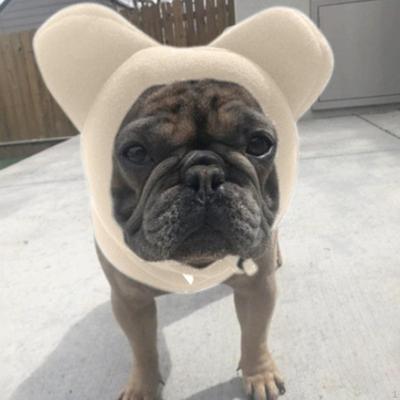 Chapeau pour Chien pour Temps Hivernal avec Cache-Oreilles et Protection du Cou Chiens Moyens à Grands