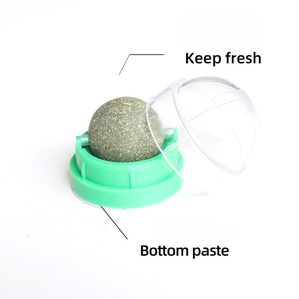 Catnip Ball Cat Rotating Toy  Teeth Cleaning  Bite-resistant  Fixed Cat Self-pleasure Licking Pet Supplies