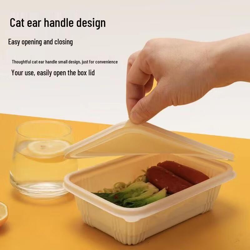 1000ML Biodegradable Rectangular Takeaway Food Container