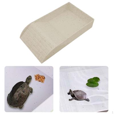 Lizards Habitat Reptilien-Wassernapf mit Rampe, Schildkröten-Futterstation für Bartagamen