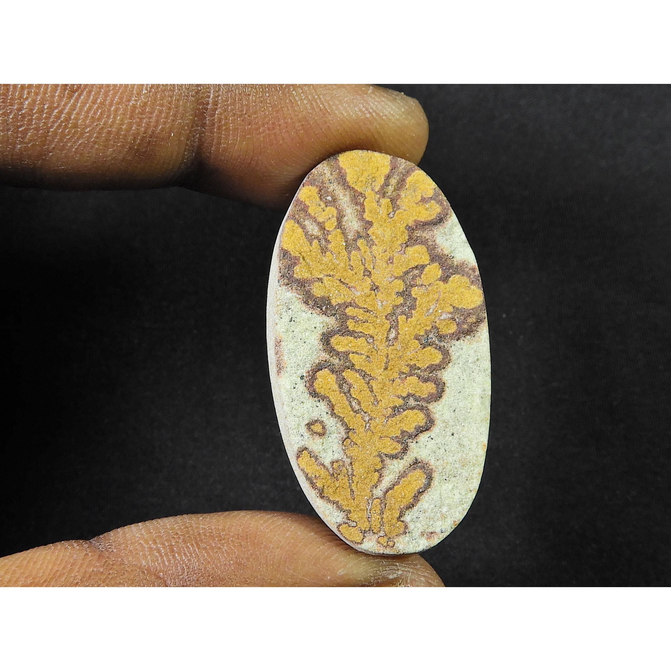 

31Cts. Natural Psilomelane Dendritic Oval Vintage Rare Gemstone 21X38X04mm SK-1088