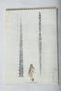 [USED] Ah! My Goddess 1999 Calendar Kodansha Calendar
