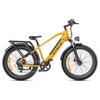 ENGWE E26 26" Step-Over Electric Bike 250W 48V16Ah 100km Max Range, Long Range E-Bike with Rear Cargo Rack for Commuter & Travel Riding