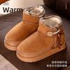 Plush Cotton Slippers Winter 2025 New Home Thick-soled Plush Warm High-top Cotton Shoes Indoor