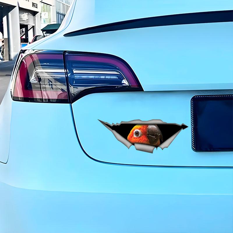 Güneş Konuru Papağanı Araba Çıkartmaları, Su Geçirmez Vinil Çıkartmalar, Araba Camları, Araba Tamponu, Araba Gövdesi için Dekoratif Aksesuarlar