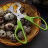 Practical 1pcs Quail Egg Scissor Bird Cutter Opener Egg Slicers Kitchen Housewife Tool Clipper Accessories Gadgets Cigar Opener