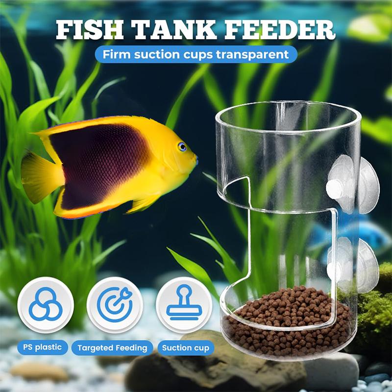 Fish Feeder For Aquarium 2025 Fish Tank Dish Tray With Suction Cup Acrylic Fish Feeding Tube Fish Food Holder