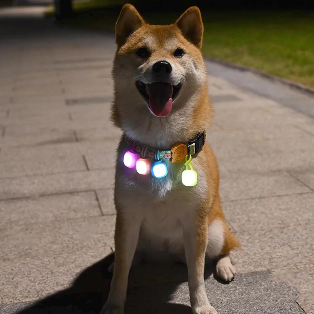 Dog Pet Pendant Night Light Waterproof Led Safety Pet Collar Pendants Lighted Puppy Flashing for Outdoor Hiking Training Walking