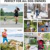 Sports Waist Pack Traction Dog Leash Kit Outdoor Running Walking Pet Supplies Reflective Fabric Multiple Functions Free Hands