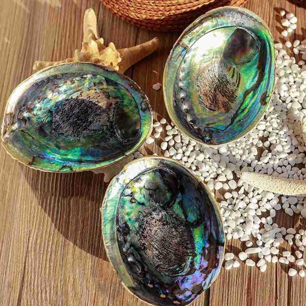 10PCS Guitar Abalone Shell PAUA Dot Diamond 13x8mm Inlay Maker For Guitar Bass Ukulele Fingerboard Neck Luthier DIY