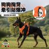 Adjustable Dog Harness With Shock Absorption Breathable Mesh Walking Training