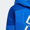 Adidas Kids Jackets Hooded Moderate HT4909