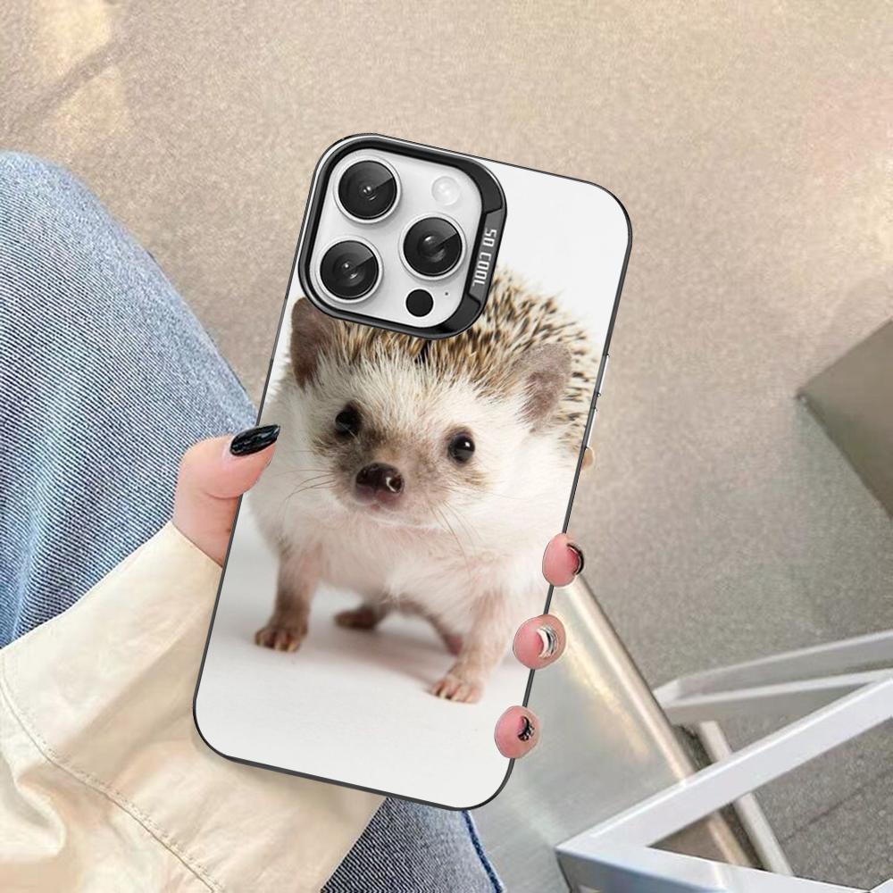 Cute Animal Hedgehog Phone Case For IPhone 16 15 14 13 12 11 Pro Max X XR XSMAX 8 7 Plus Matte Shockproof Back Cover