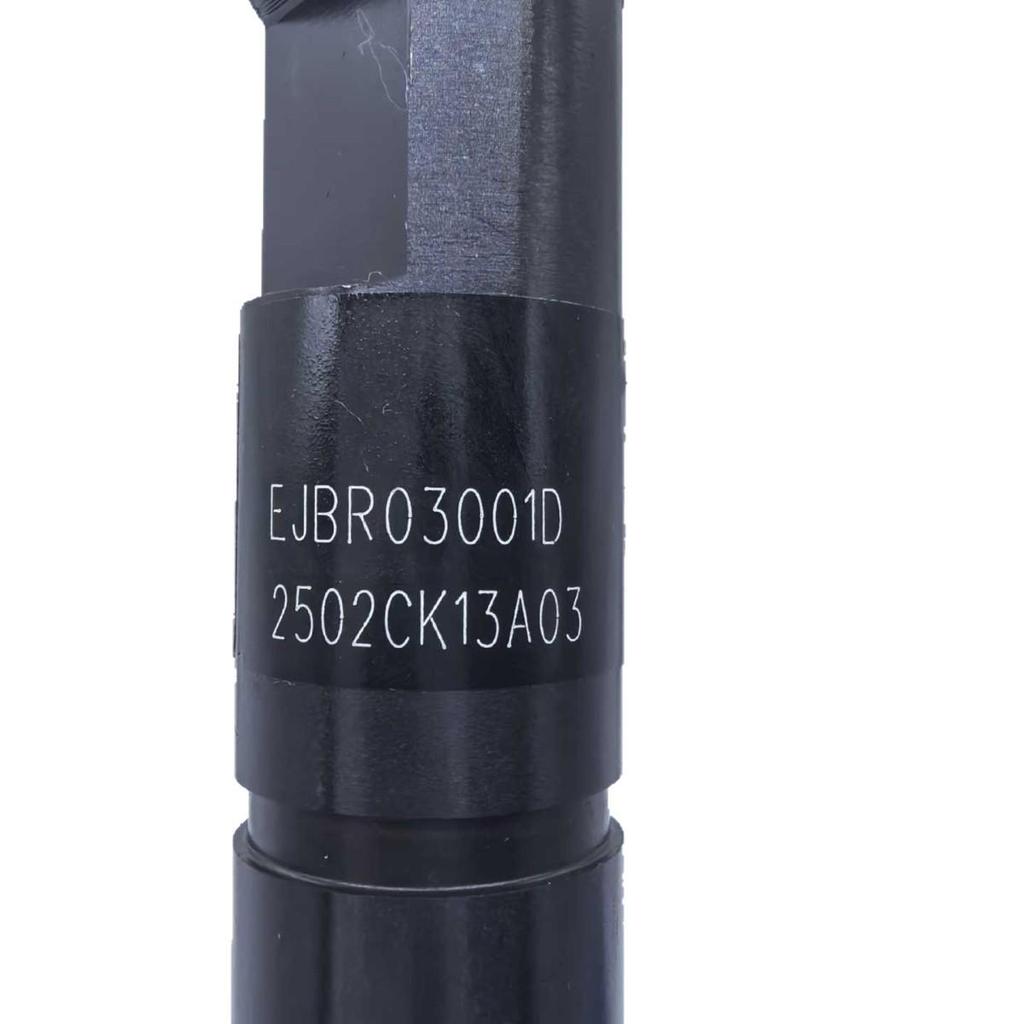 Seria Premium Injector Common Rail EJBR03001D pentru Motoare Wolwo