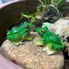 Simulated Frog Ornament, Water Tank, Fish Tank, Water Dispenser, Water Pool, Landscape Design, Resin Submerged Handicraft