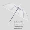 Transparent Straight Handle Umbrella