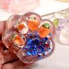 Transparent Cartoon Fidget Toy Strawberry Cat Paw Pinch Toy  Kids Tricky Doll