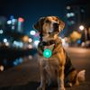 Haustier LED Leuchtanhänger Hund Hund Katze Marke Nachtspaziergang Hund Verlustschutz Nachtlicht Blinkender Anhänger