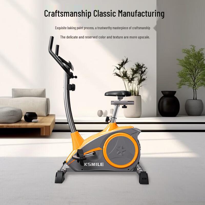 KangLeJia K8601 Home Magnetic Exercise Bike CN plug (adapter included)