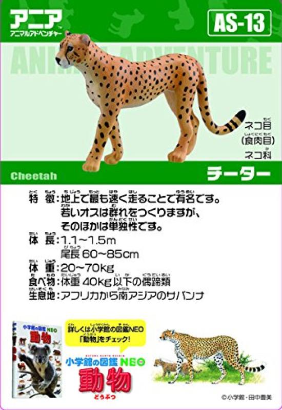 Ania Cheetah AS-13