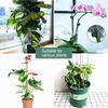 22Pcs Flexible Plant Support Bracket With 22 Green Clip Bendable Garden Stakes For Outdoor Plant Stem Healthy Growth