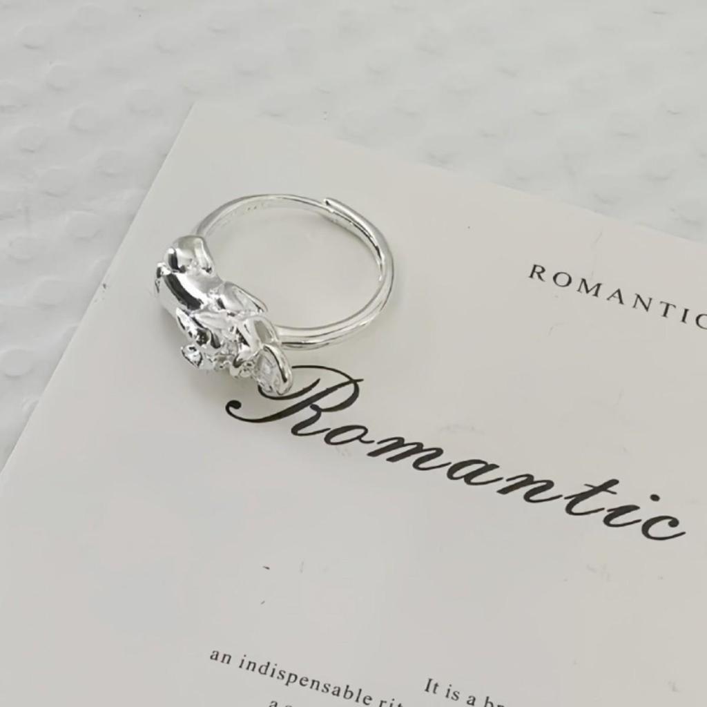Ethnic Style Pixiu Coin Ring for Men and Women: Fashionable Silver Wealth and Luck Opener.