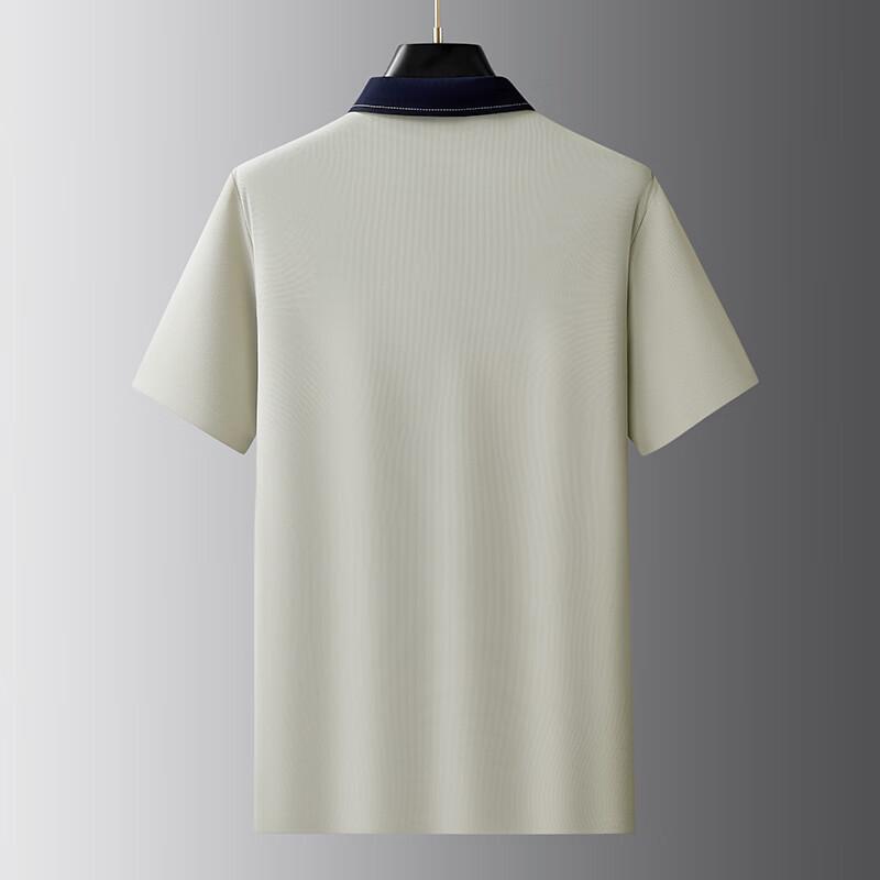Men's Plus Size Anti-UV Breathable Polo Shirt