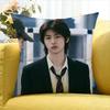 COOL Kim Ju-Hoon   Various Sizes Square Pillow Case For Car Home Bedchamber Decor