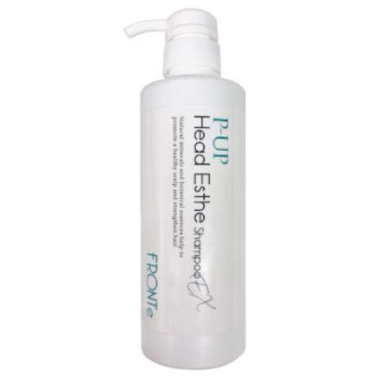 

P-UP Head Esthetic Shampoo EX 480мл