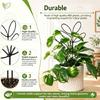 Adjustable PP Plant Support Structure For Flower Pots Climbing Roses Healthy Growth Of Ivies And Other Vine 5 Pack