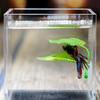 Künstliche Wasserpflanze Aquarium Landschaftsgestaltung, Künstliche Bettafisch Blätter, Ruheblätter, Laichblätter