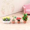 1:12 Dollhouse Miniature Potted Plants Tulip Flower Pot Fortune Fruit Bonsai Model Garden Home Decor Toy Doll House Accessories